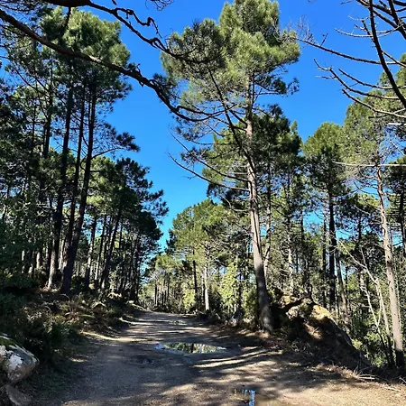 A Calata Σπίτι διακοπών Πόρτο Βέκιο
