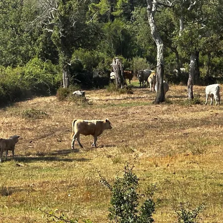 A Calata Porto-Vecchio (Corsica)