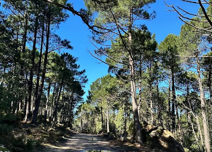 A Calata Ferienhaus Porto-Vecchio (Corsica)